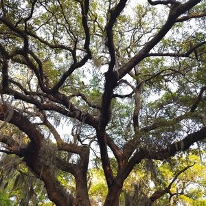 Meet your Posher, Brittney